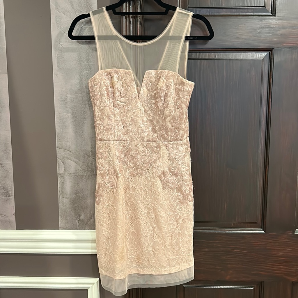 Bcbg Dress - Sequins And Sheer! Bare Pink Color. Like New.